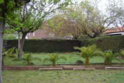 Jardí 3