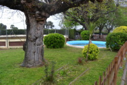 Jardí 1