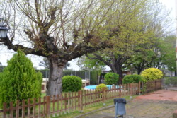 Jardí 4